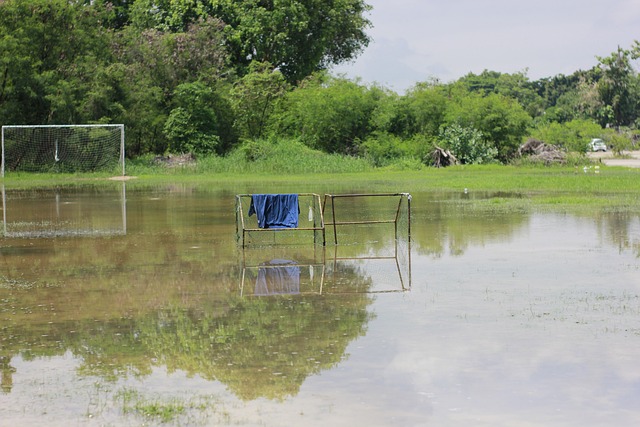 赛前做了详 赛前做了详