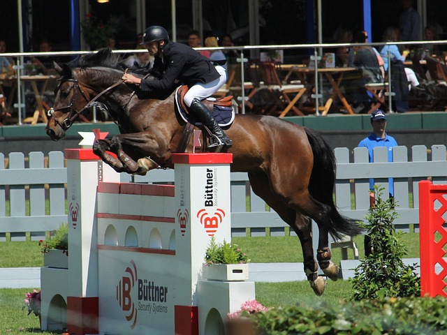 不乏传奇 不乏传奇