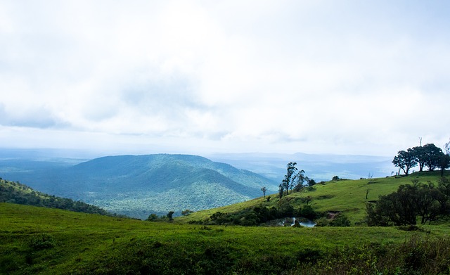 切尔西的意 切尔西的意