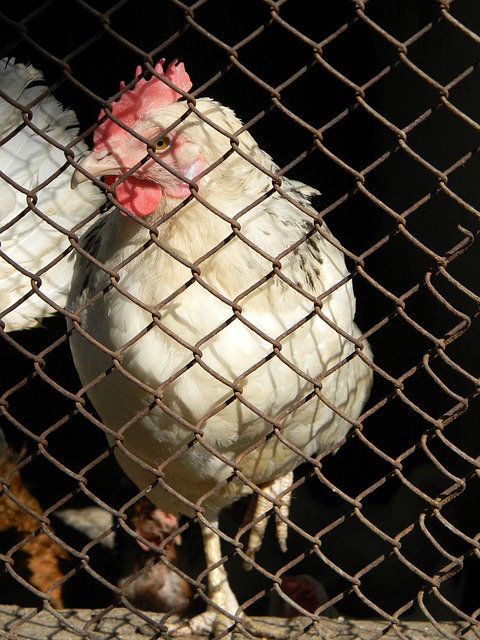 他的表现尤 他的表现尤